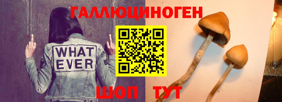 Галлюциногенные грибы GOLDEN TEACHER Мегион